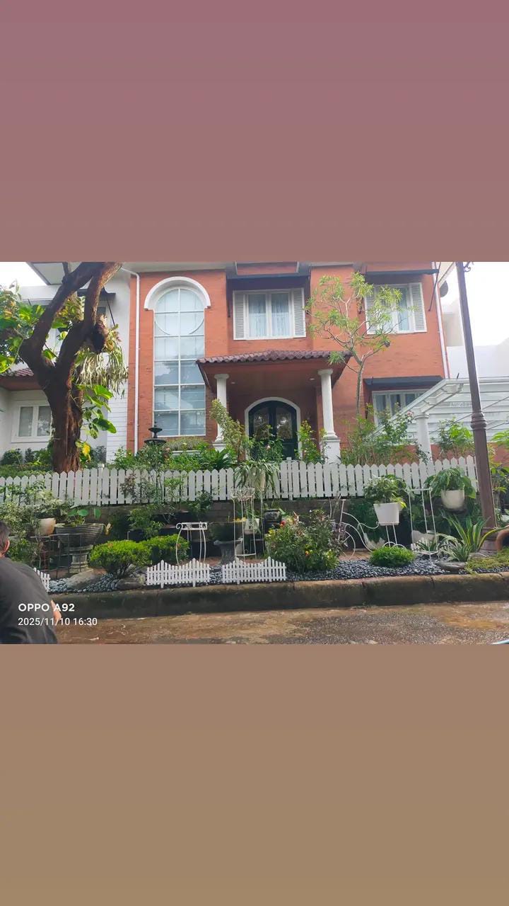 Mawar import premium Bandung